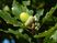  Lorem ipsum dolor sit amet  