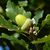  Lorem ipsum dolor sit amet  