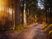  Lorem ipsum dolor sit amet  