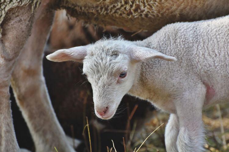 Sample Gallery Image