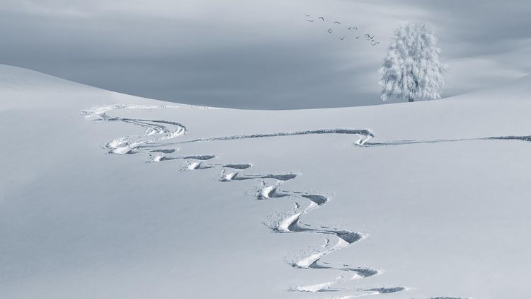 Sample Gallery Image